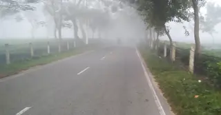 কুয়াশার চাদরে মোড়া মৌলভীবাজার